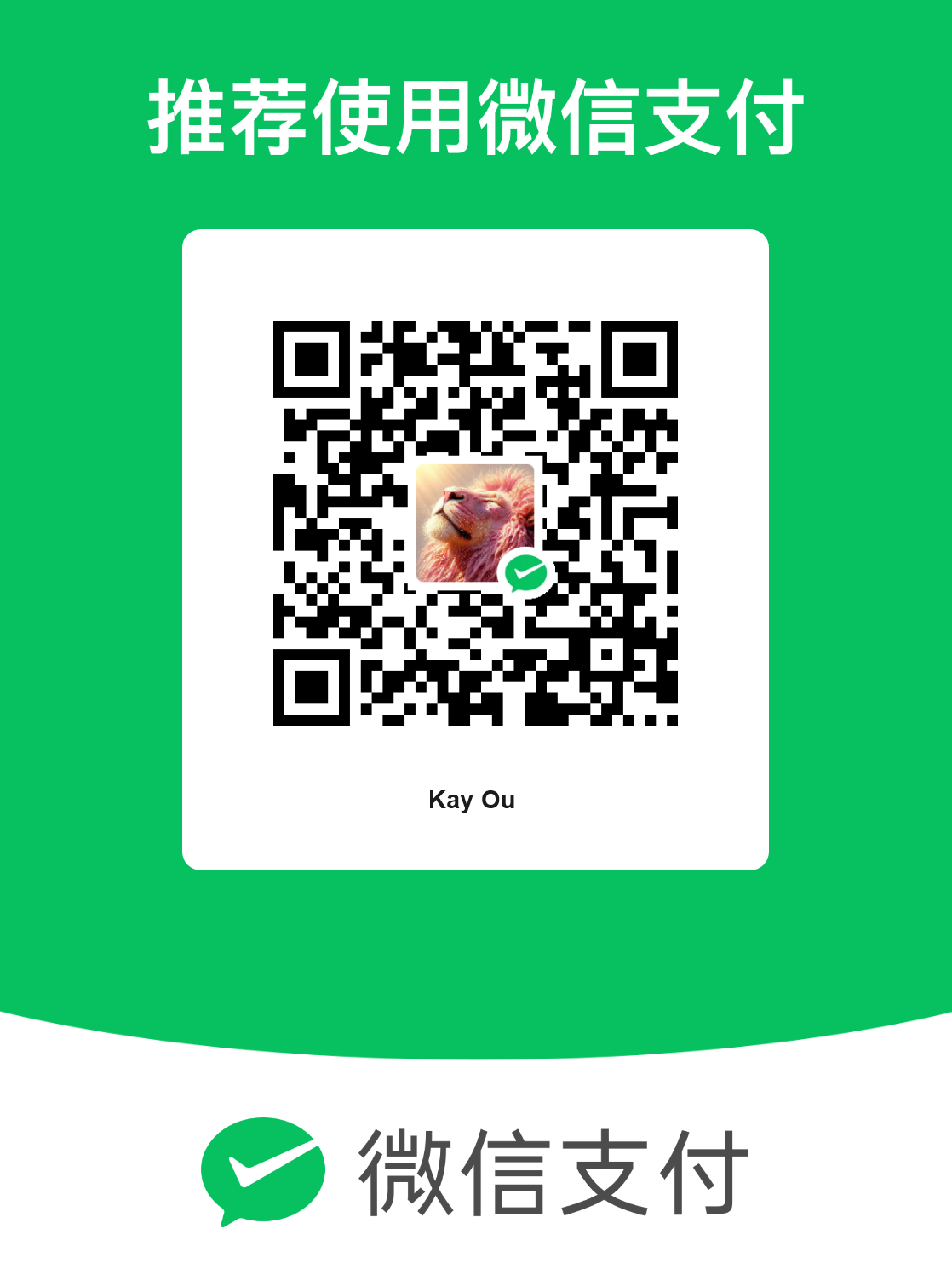 WeChat Pay QR Code